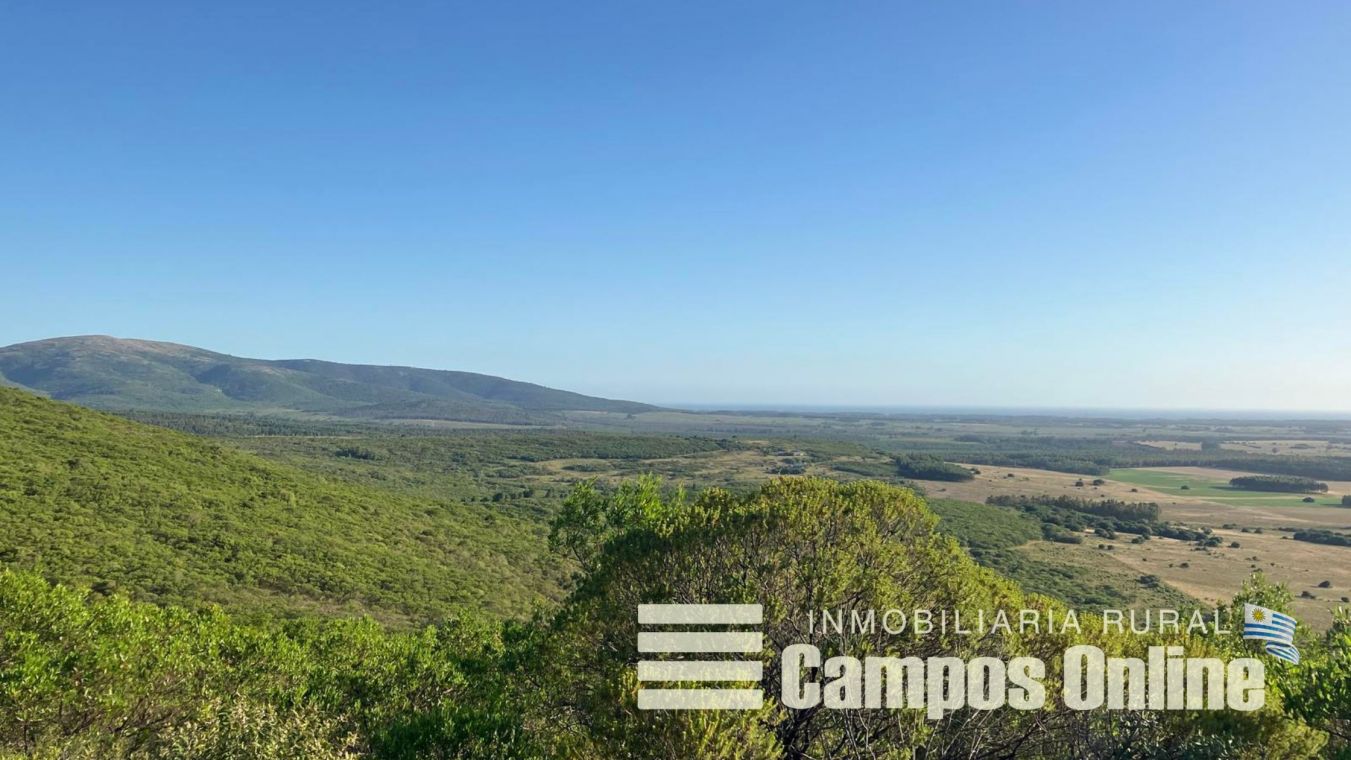 Cerro Tupambae Un Tesoro Natural en las Sierras